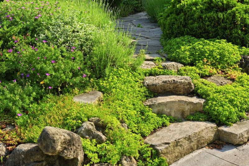 Stepping Stone Paths