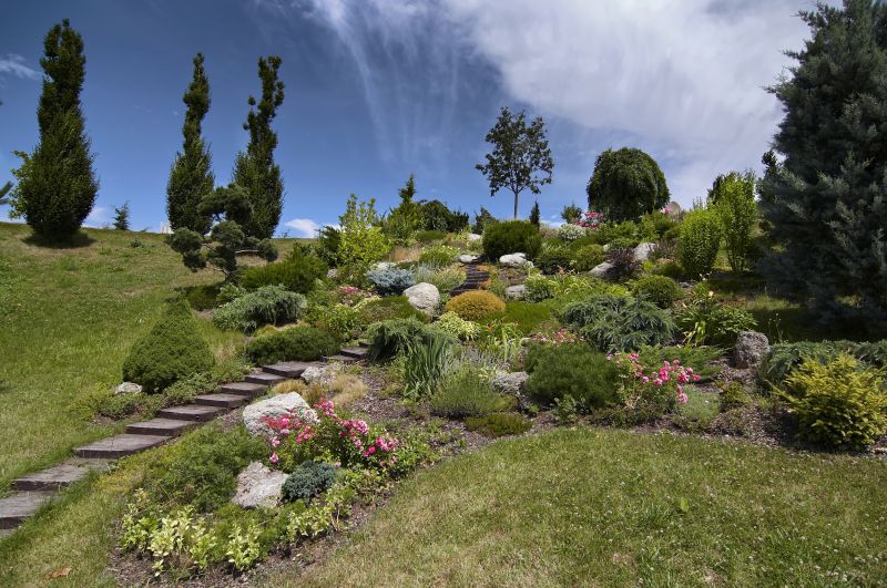 Landscape Design Experts
