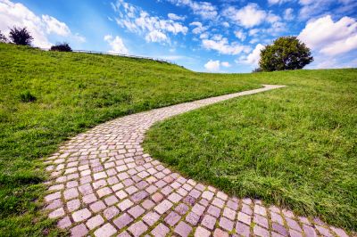 Work With a Professional To Design a Plan, Use Quality Materials, and Install The Perfect Stone Path For Your Landscaping